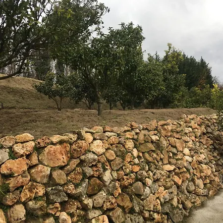 Bed and breakfast Tenuta Michele